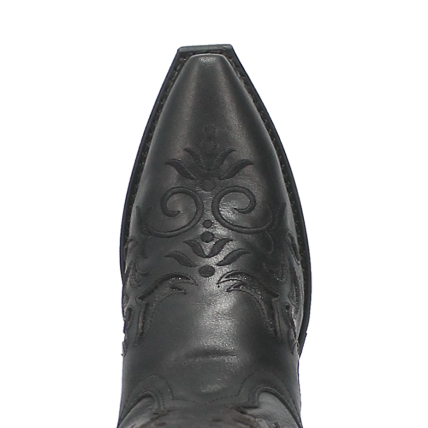 Laredo Women's 12" Night Sky Snip Toe Western Boot - Black 52450