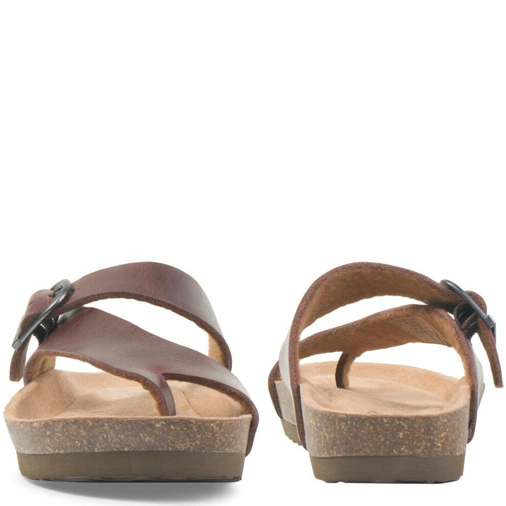 Eastland Women s Shauna Thong Sandal Dark Walnut 3402 79M